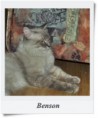 /album/benson/benson-01-2-jpg/